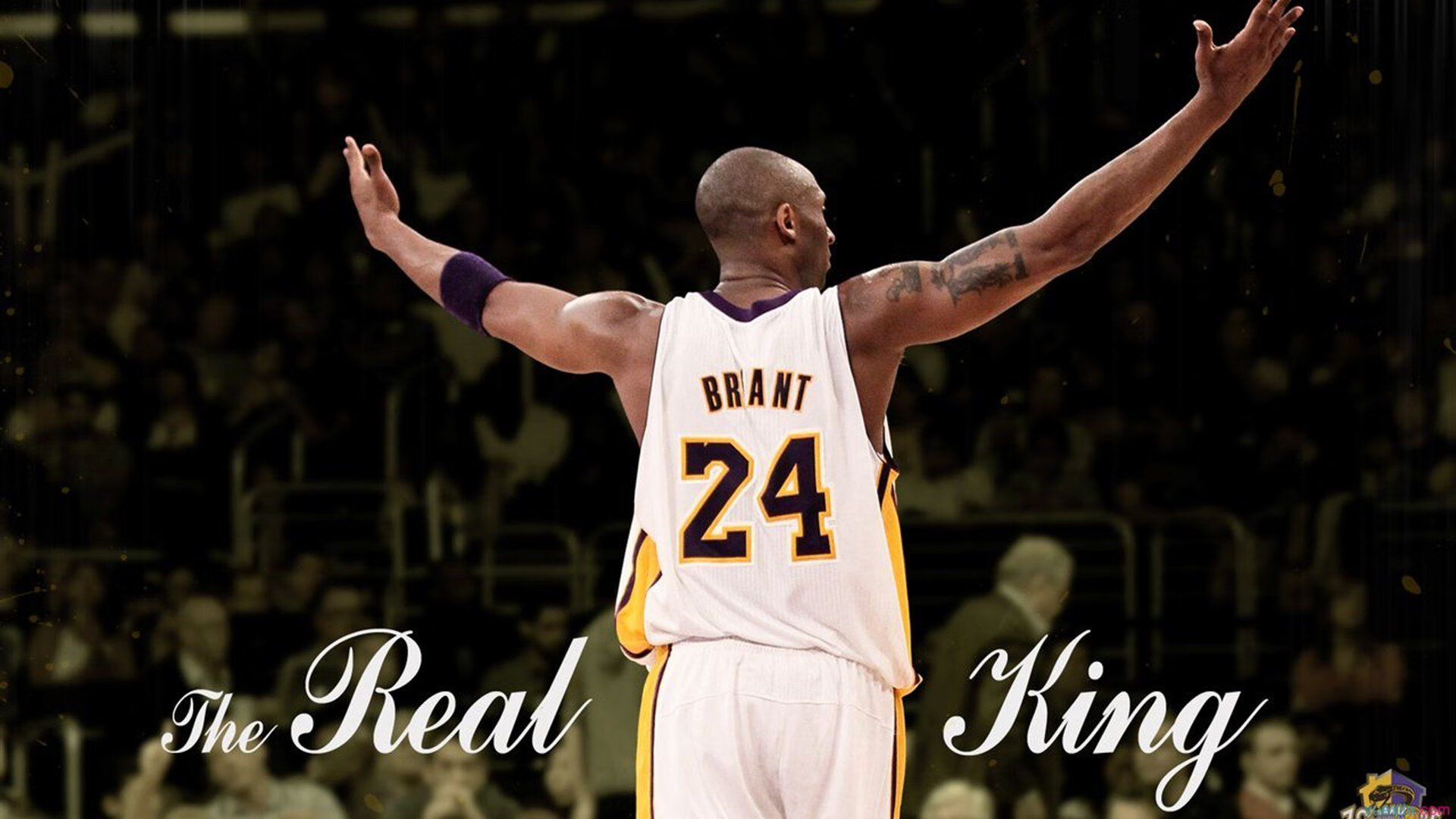 加克波接管F1南非站,一场赛车与地缘的意外收割